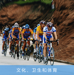 文化、衛(wèi)生和體育